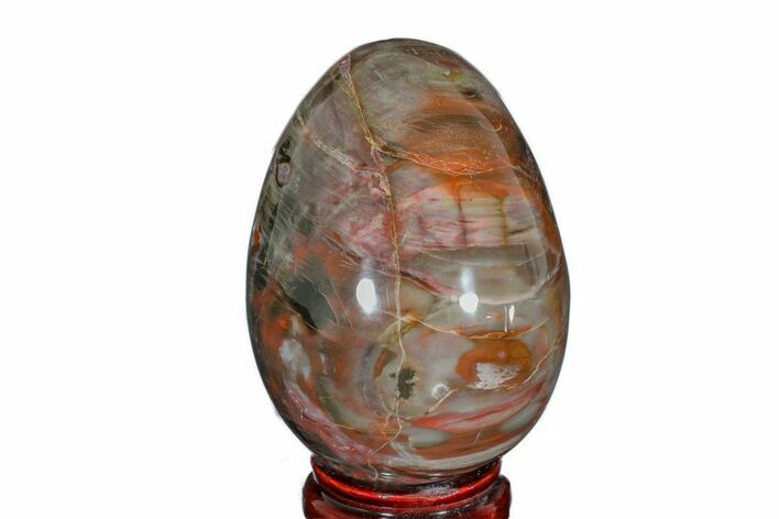 Colorful, Polished Petrified Wood Egg - Madagascar #172520